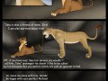 takas_story_120_by_savu0211-d37b55p.jpg